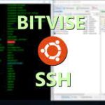 Bitvise连接Linux服务器教程